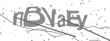 visual captcha